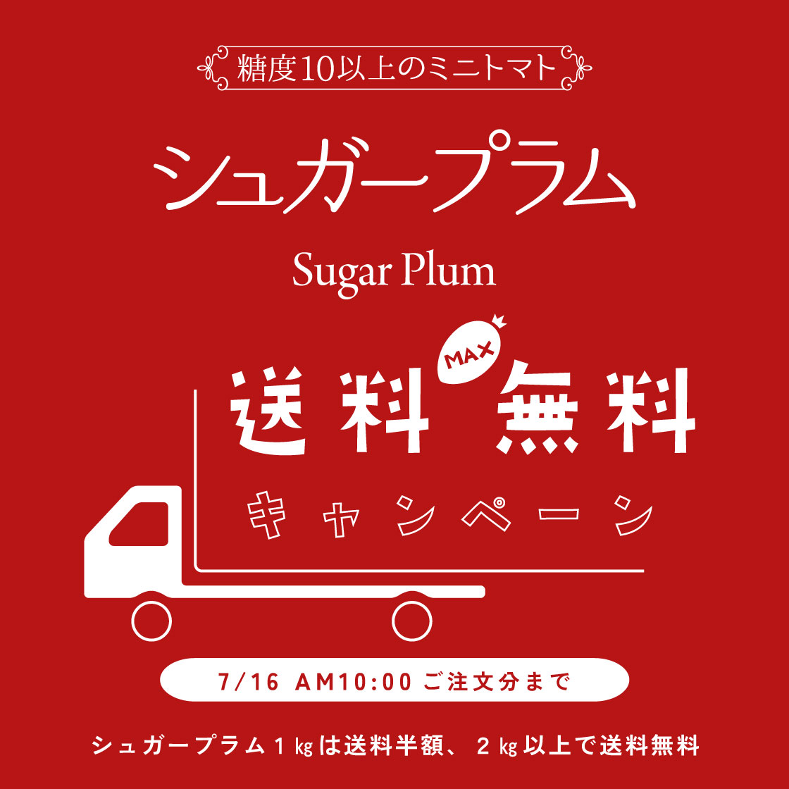 今がチャンス！人気のミニトマト「シュガープラム」1㎏で送料半額、2