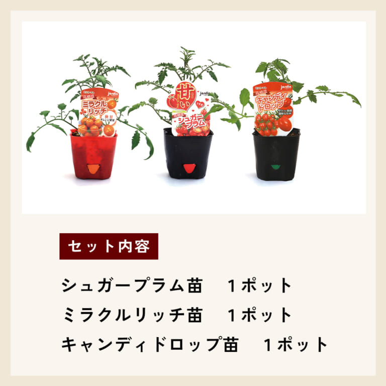 tomatonae-set_3