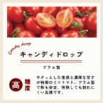 tomatonae_3-a