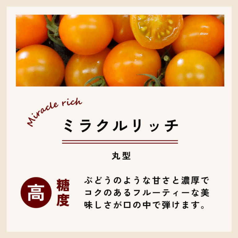 tomatonae_3-a